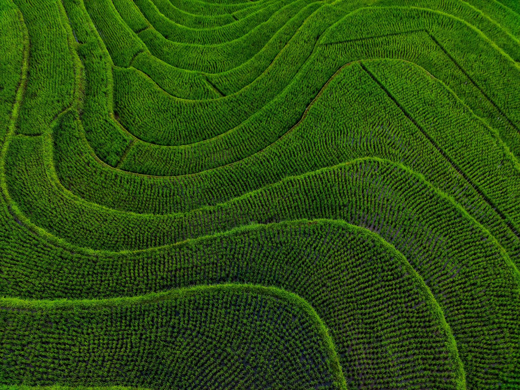 Pemetaan wilayah Kebumen menggunakan drone, menampilkan citra udara detail untuk perencanaan tata ruang.