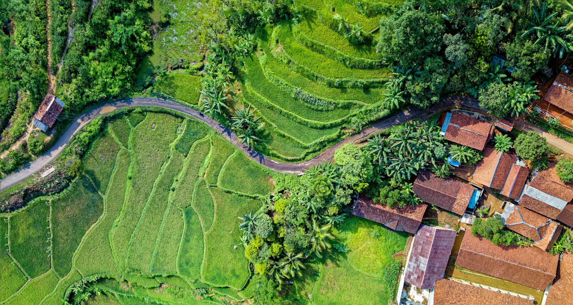Peta udara Jawa Barat hasil drone mapping, detail lahan dan infrastruktur.