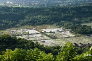 Cerita Kocak Sewa Drone Yogyakarta: Momen Viral Terjadi!