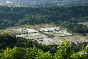 Terbongkar! Harga Sewa Drone Jogja: Fakta Mengejutkan di Balik Foto Udara Impianmu