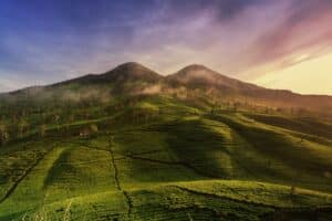 Jangan Sewa Drone Jateng Sebelum Tahu 5 Ini!
